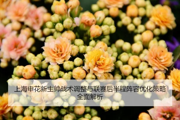 上海申花新主帅战术调整与联赛后半程阵容优化策略全面解析